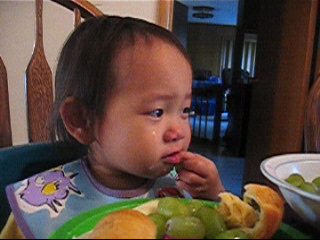 Click for 1.33 MB Windows Media Video